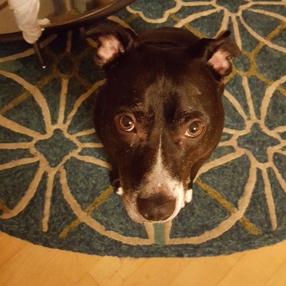 MEET YOUR POSHER, Tatiana ππ π»πΆπ - Picture 5 of 15